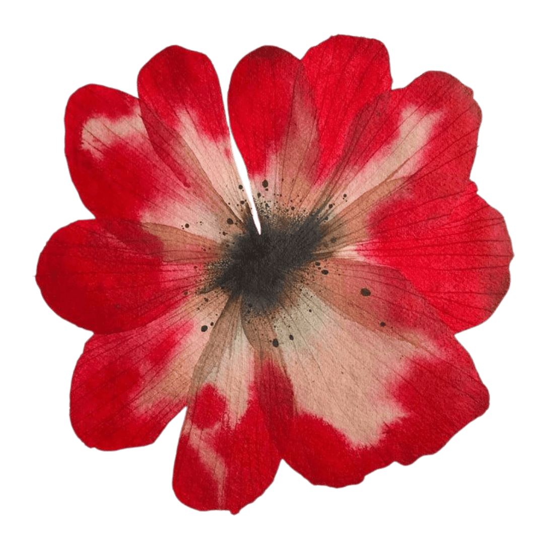 Palo Bloom